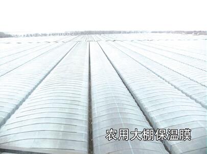 母料在吹膜-工業(yè)、農(nóng)業(yè)、包裝中的運(yùn)用